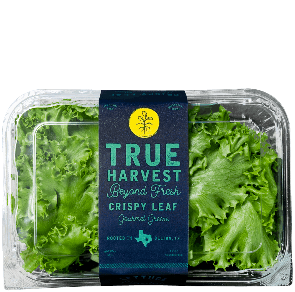 TrueHarvest Farms hydroponically grown Crispy Leaf in clamshell packaging.