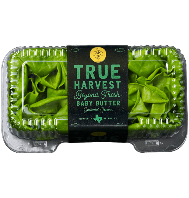 TrueHarvest hydroponically grown Baby Butter lettuce clamshell packaging.
