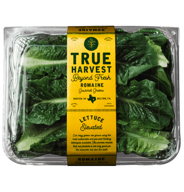 TrueHarvest hydroponically grown Romaine lettuce in clamshell packaging.