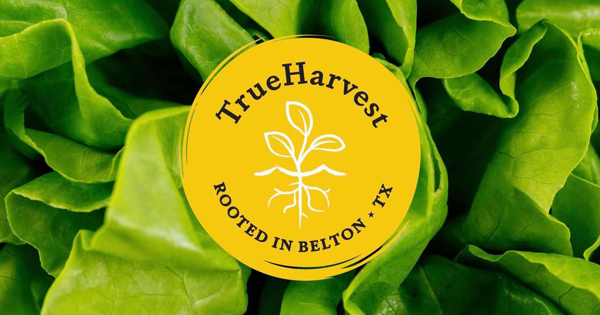 TrueHarvest Farms Safe & Fresh Hydroponically Grown Leafy Greens