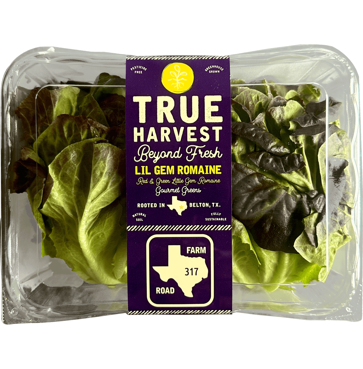 TrueHarvest Lil Gem Romaine lettuce clamshell